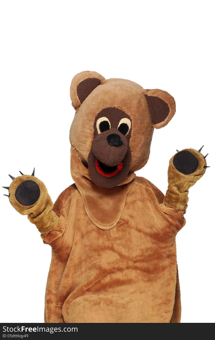 Funny bear costume isolated in white