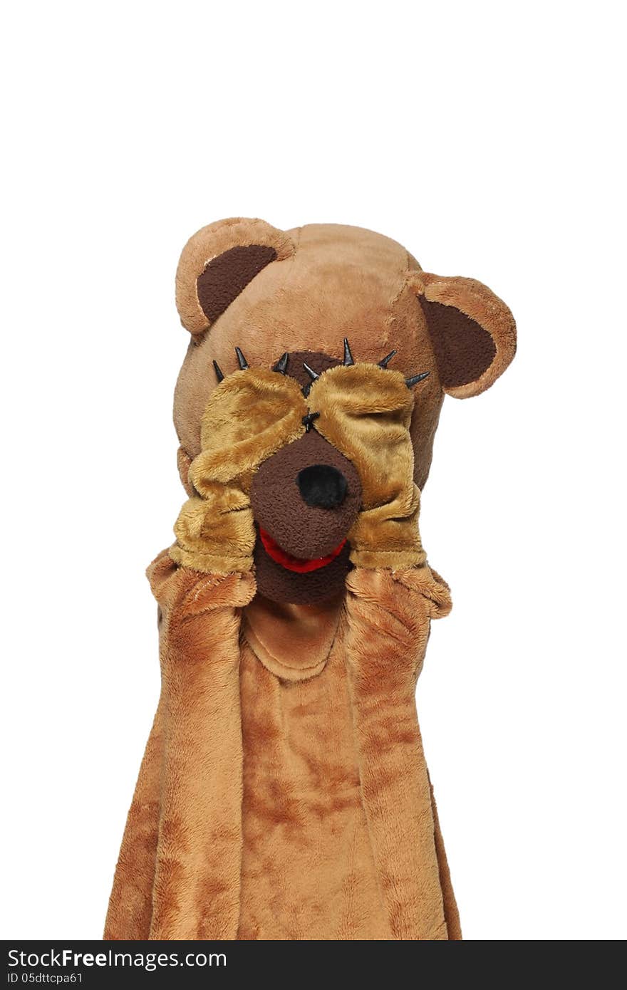 Funny Bear Costume