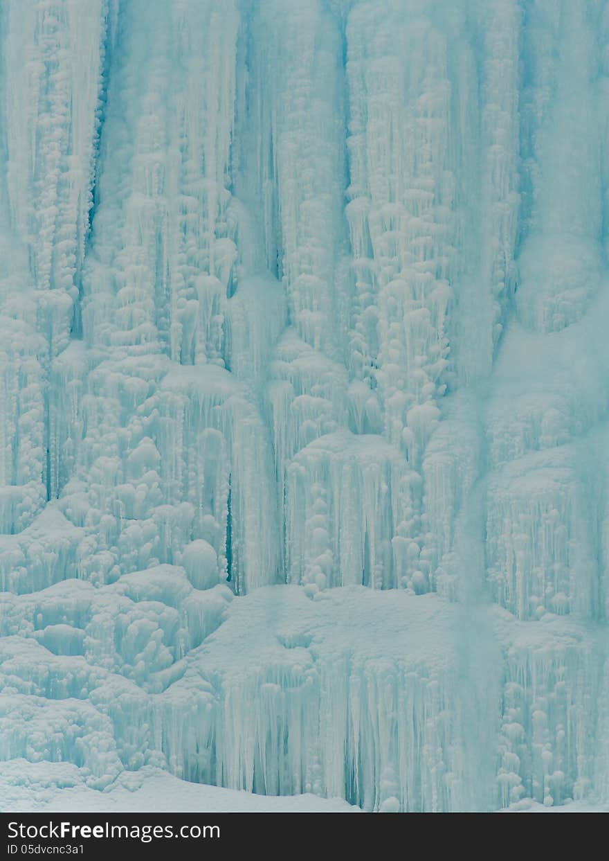 Frozen Waterfowl in Minnesota Winter