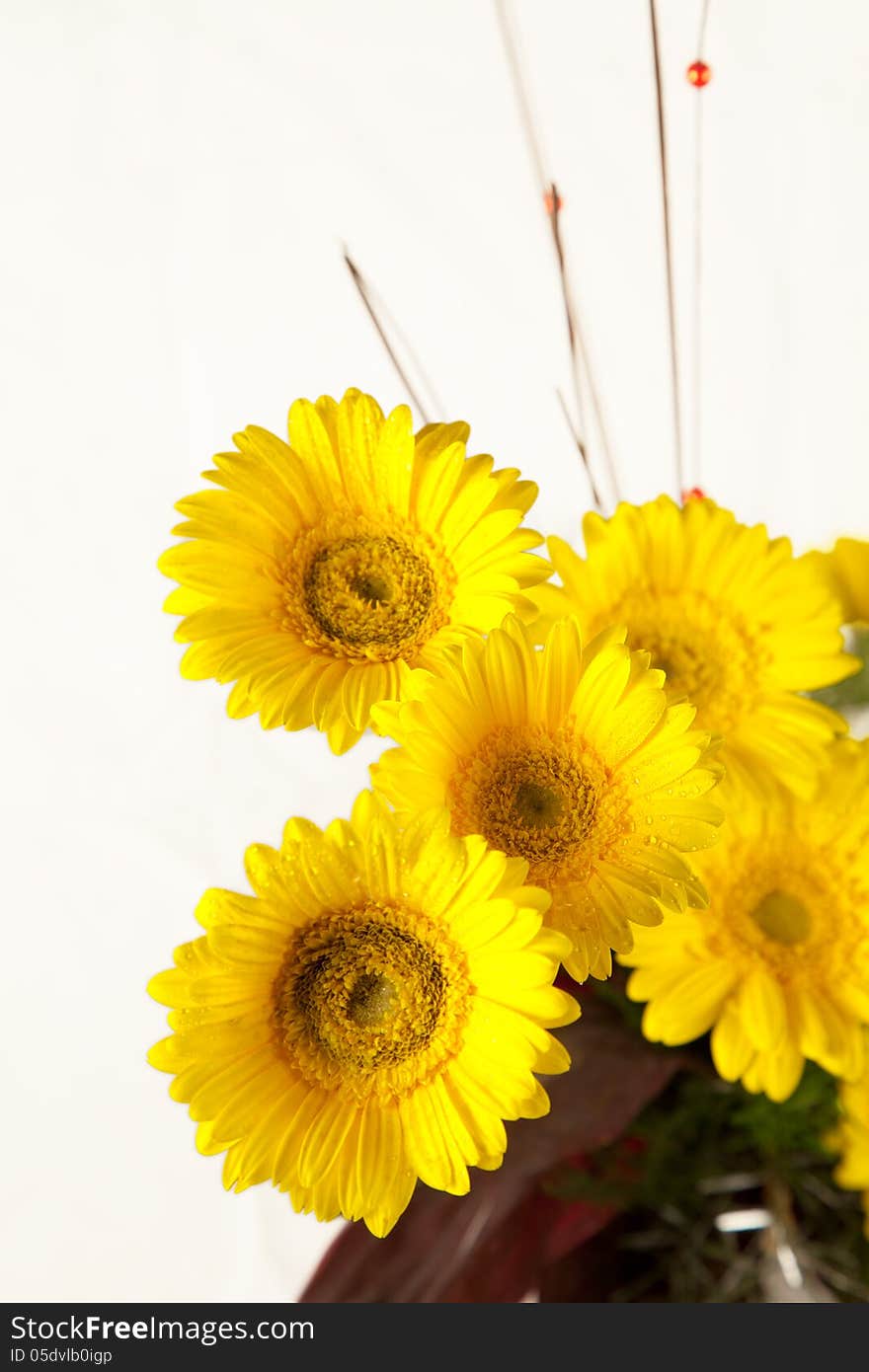 Bouquet of yellow and white  flowers