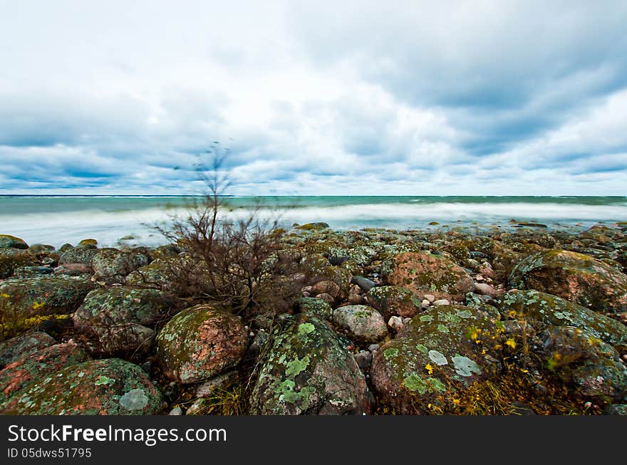 Coast of the Baltic Sea. Coast of the Baltic Sea