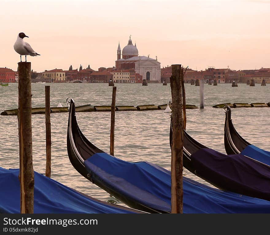 Venice Gondolas