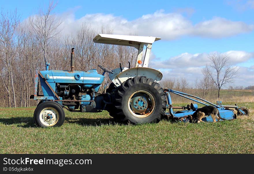 Tractor In Spring Field With German Shepherd Dog P