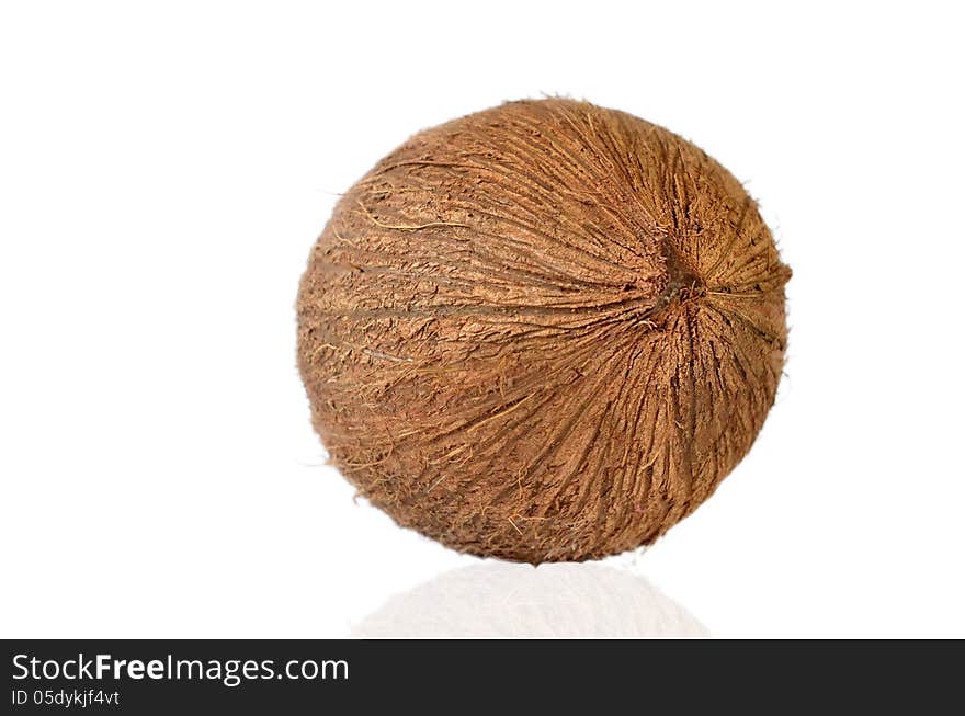 A whole coconut on white background with copy space. A whole coconut on white background with copy space.