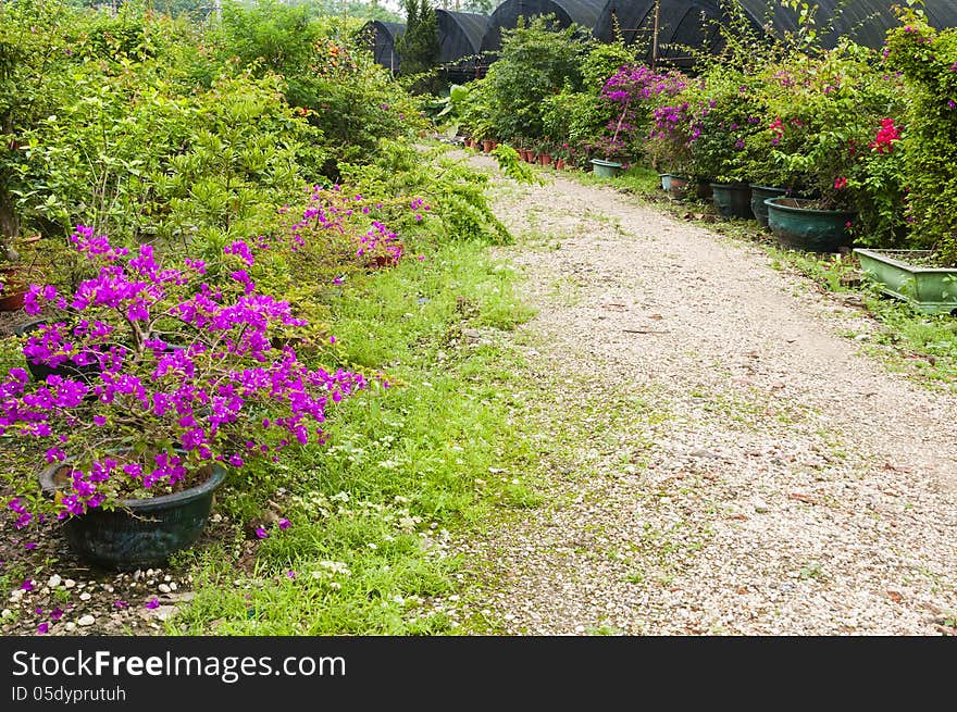 Curved path in a peace garden. Curved path in a peace garden