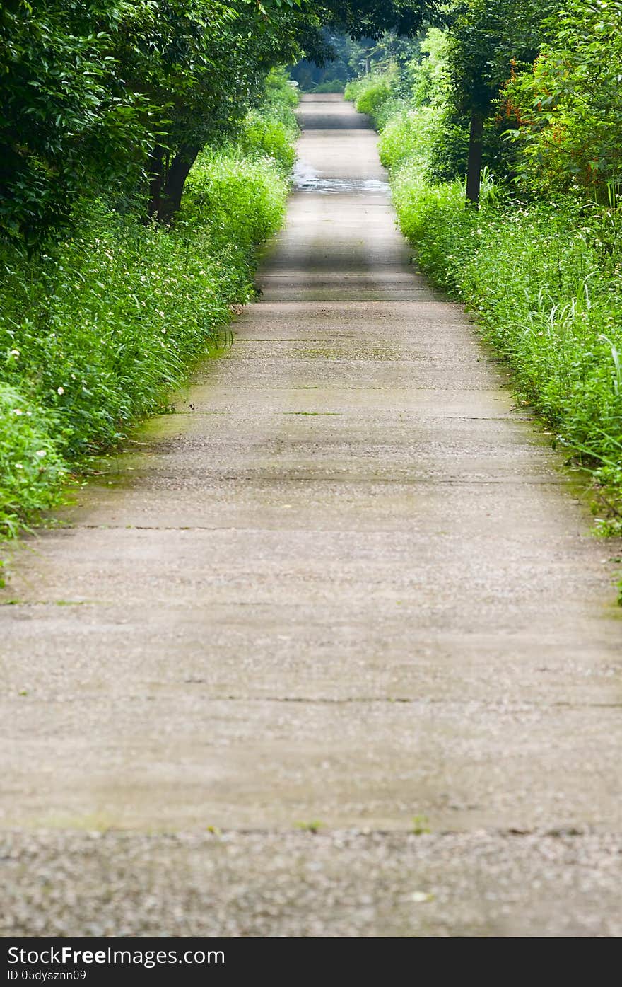 Curved path in a  peace garden. Curved path in a  peace garden