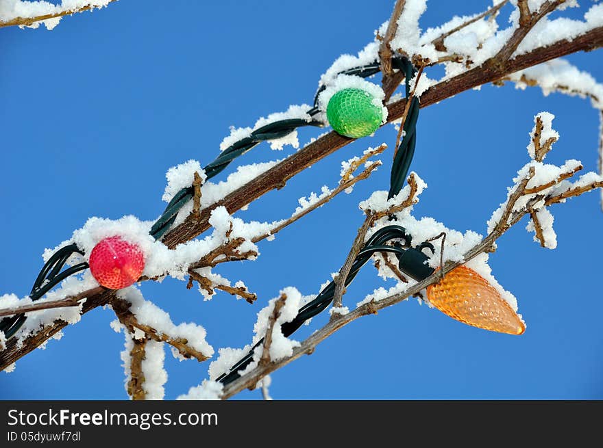 Colorful christmas bulbs covered with snow