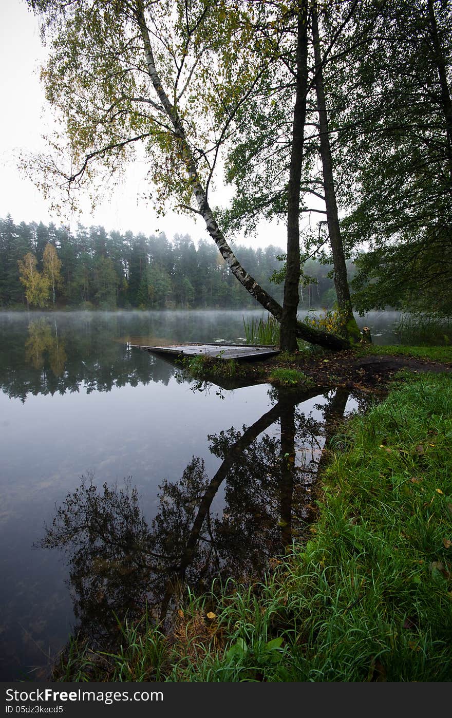 Water Reflection