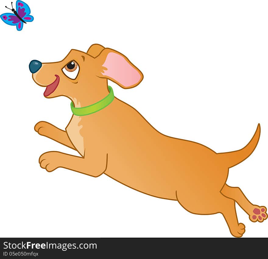 Cute brown sausage dog jumping and chasing a butterfly. Cute brown sausage dog jumping and chasing a butterfly