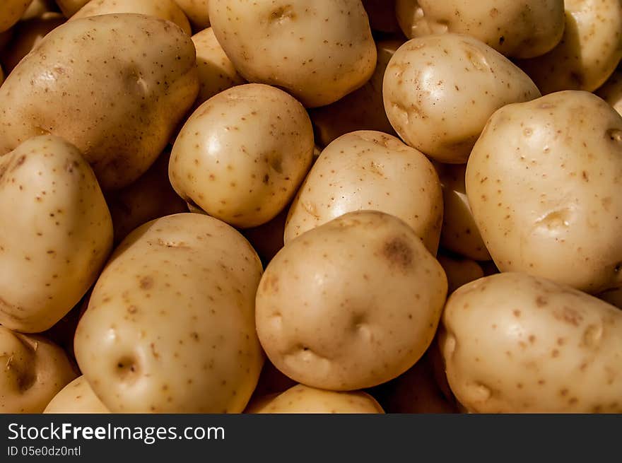 Close up of big white potatoes on market stand