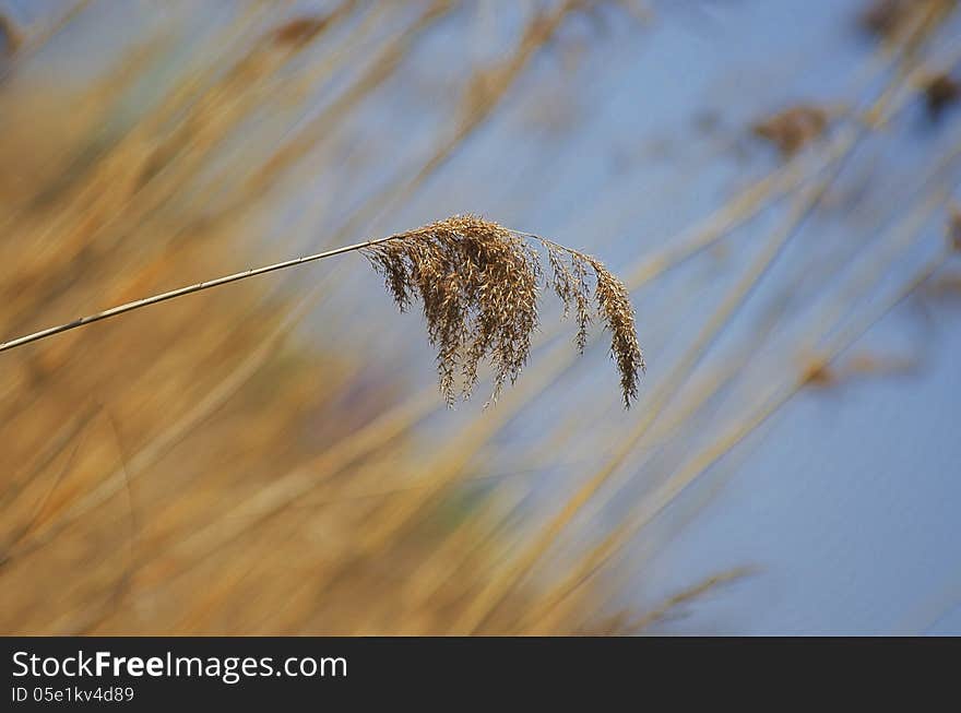 This is photo was taken in Bucharest, Romania. This is photo was taken in Bucharest, Romania.