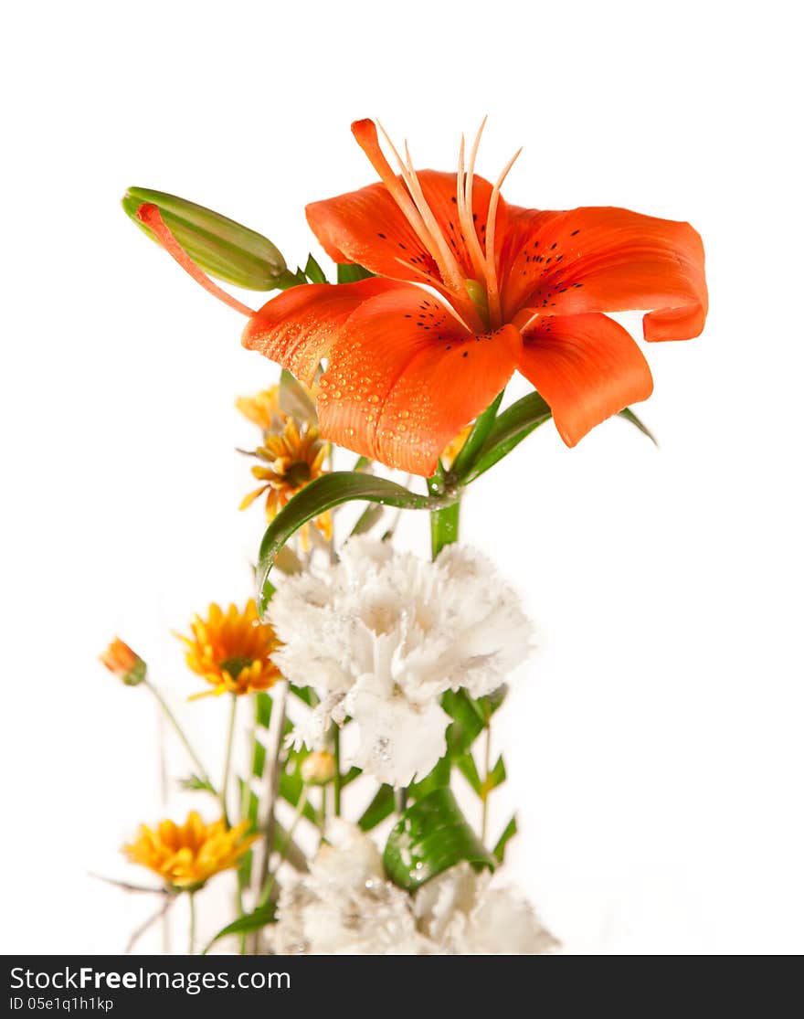 Beautiful Colorful Bouquet of Lily and white flower isolated over white background. Beautiful Colorful Bouquet of Lily and white flower isolated over white background