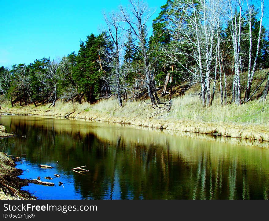 The spring stillness