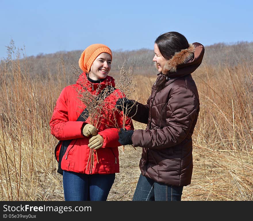 Two girls with herbs laughing in the field. Two girls with herbs laughing in the field