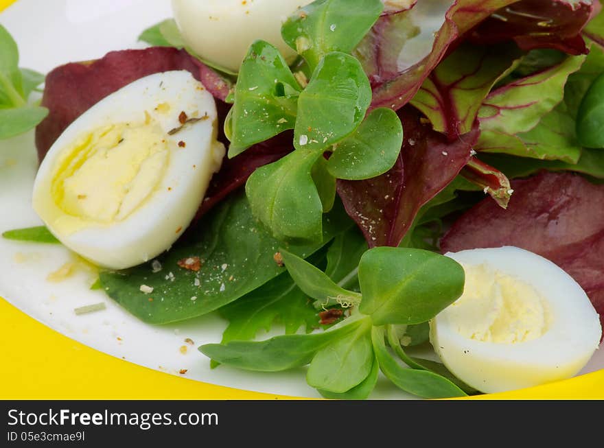 Greens Salad with Corn Salad, Chard, Quail Eggs and Olive Oil on Yellow Plate closeup