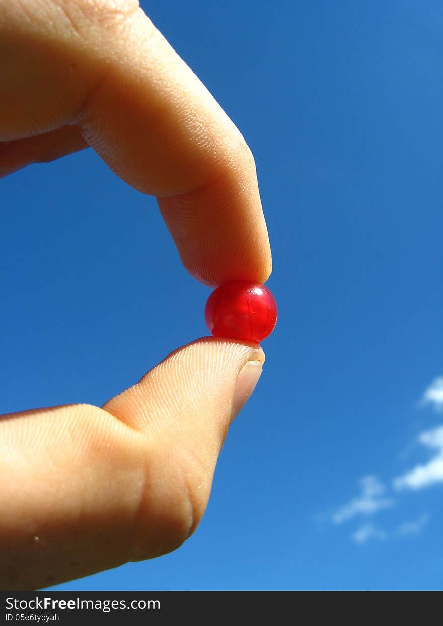 Berry of the little red currant in a hand. Berry of the little red currant in a hand