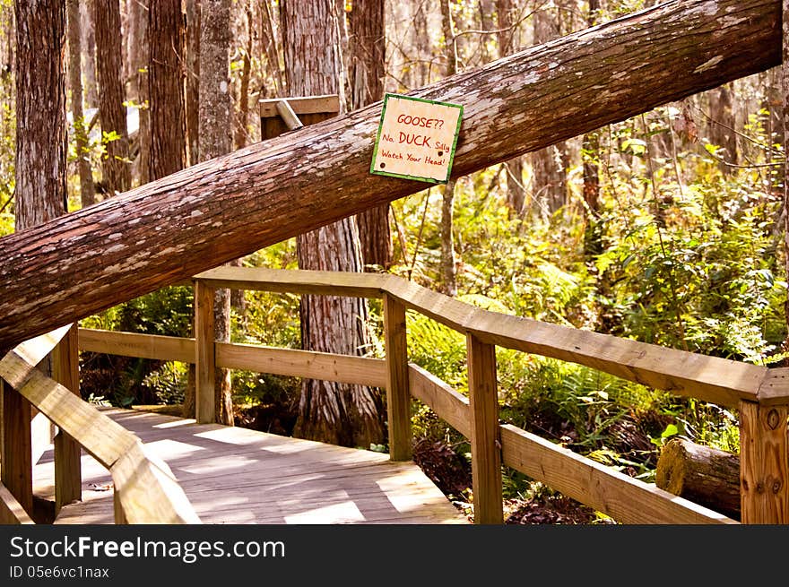 Cute caution sign on a nature trail. Cute caution sign on a nature trail.