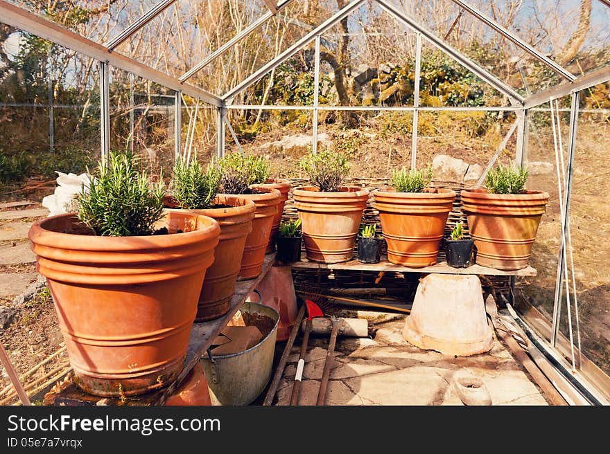 Pots in glasshouse in countryside, during spring. Pots in glasshouse in countryside, during spring