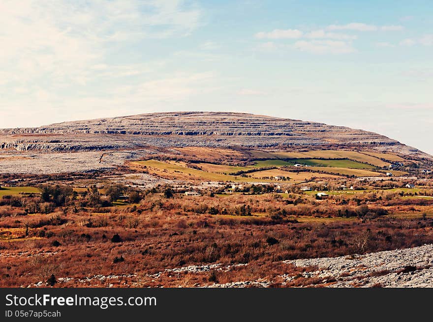 The rolling hills of Burren are composed of limestone pavements with criss-crossing cracks known as grikes, leaving rocks called clints. The region supports arctic, Mediterranean and alpine plants side-by-side, due to the unusual environment. The limestones, which date from the Visean stage of the Lower Carboniferous, formed as sediments in a tropical sea approximately 350 million years ago. The strata contain fossil corals, crinoids, sea urchins and ammonites.