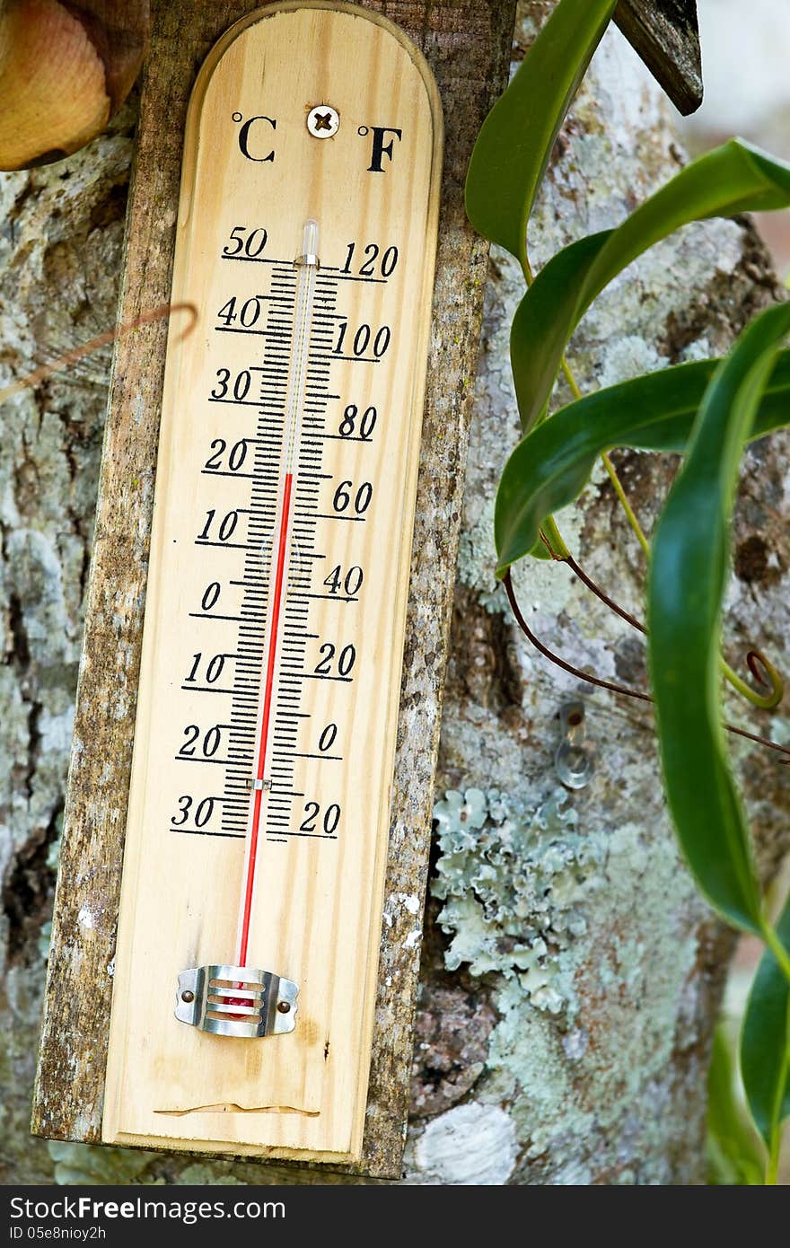 Wooden Celsius Fahrenheit thermometer on nature background