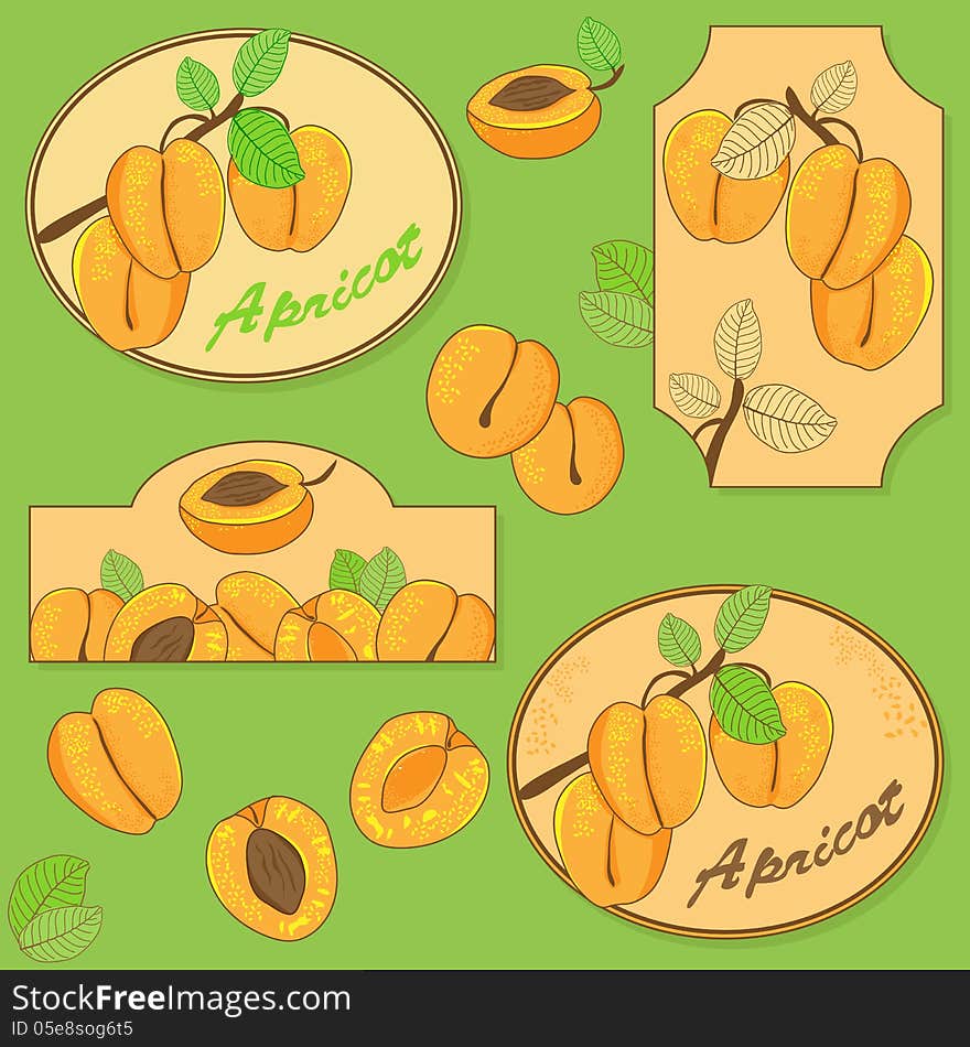 Set Of Elements With Apricot