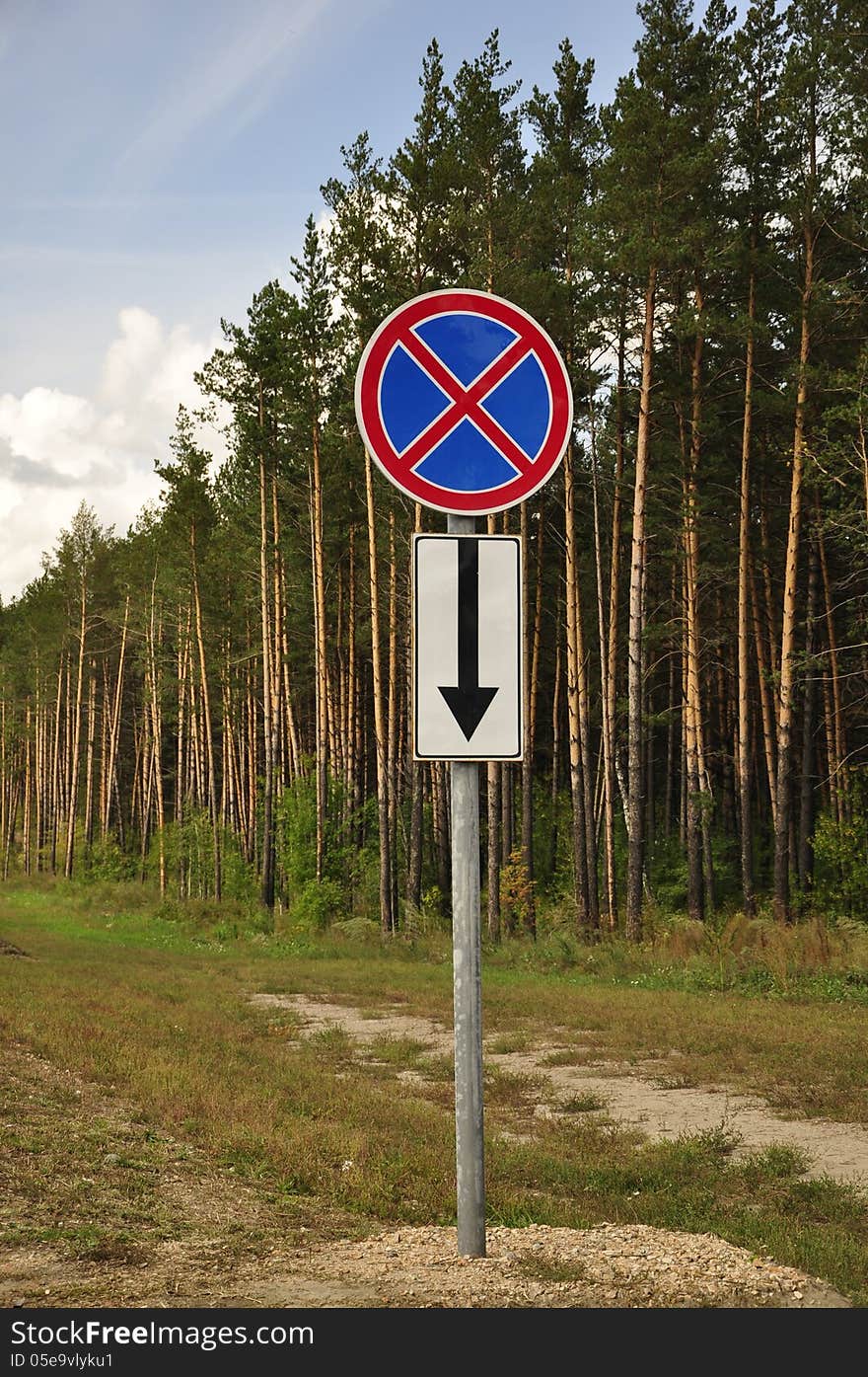 A Road Sign In A Forest.