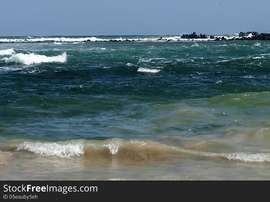 Rocky coastline in west Africa.