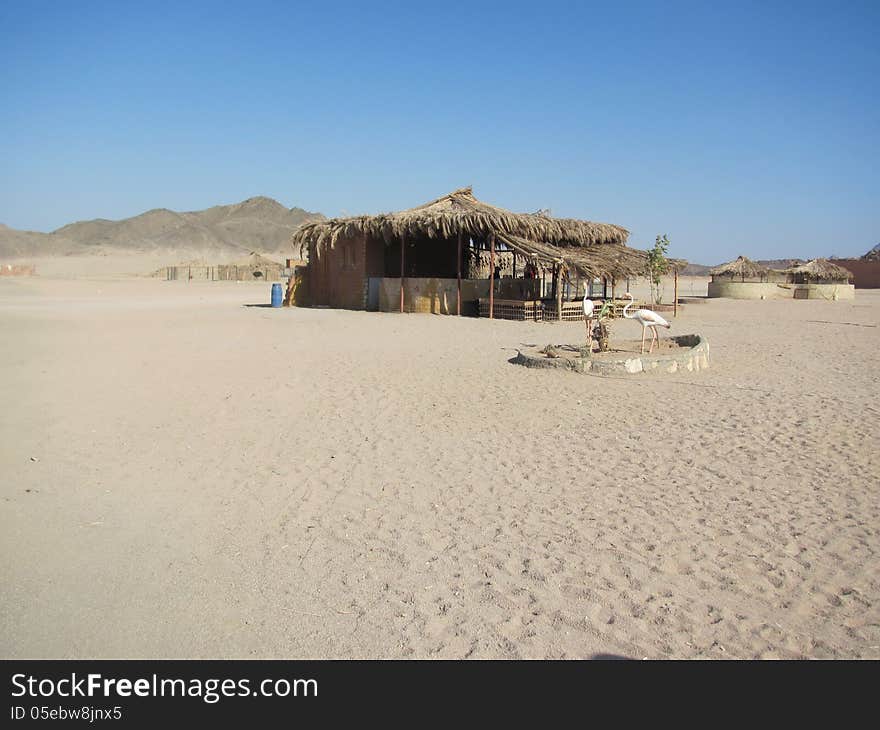 Egypt, Bedouin Village In Sahara Desert