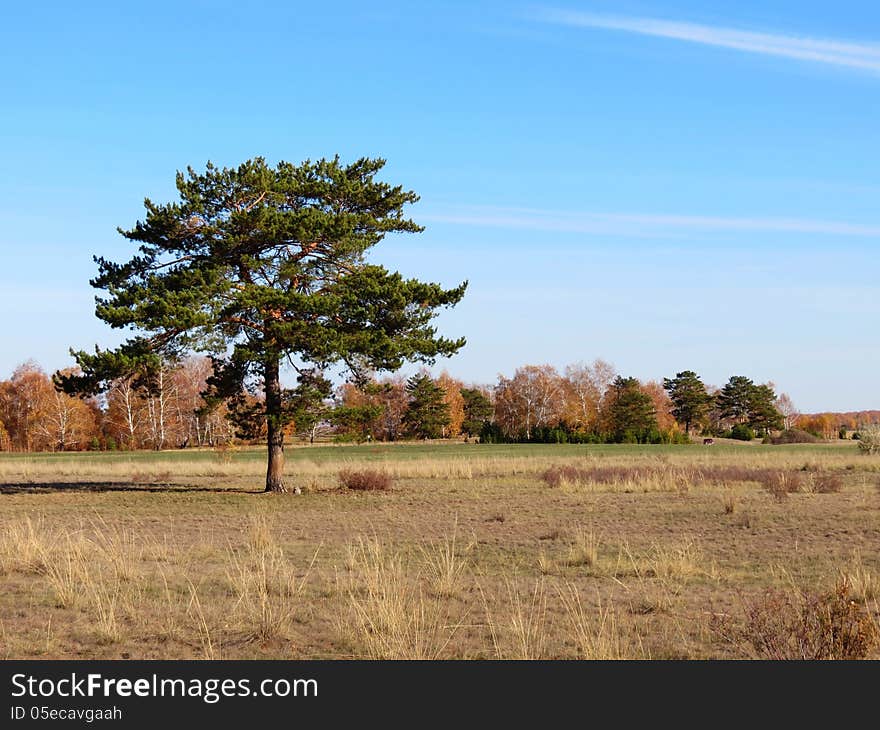 Autumn landscape