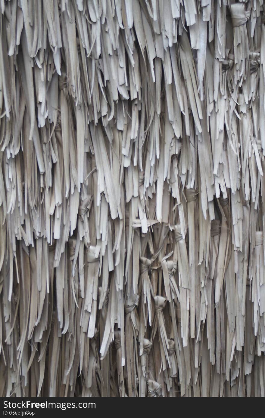 Closeup of gray, thatched background grasses. Closeup of gray, thatched background grasses