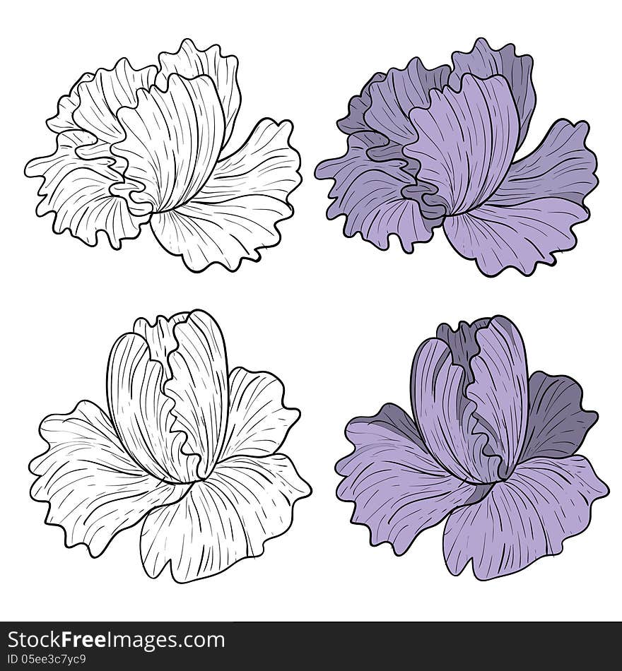 Vector set of hand drawn flowers