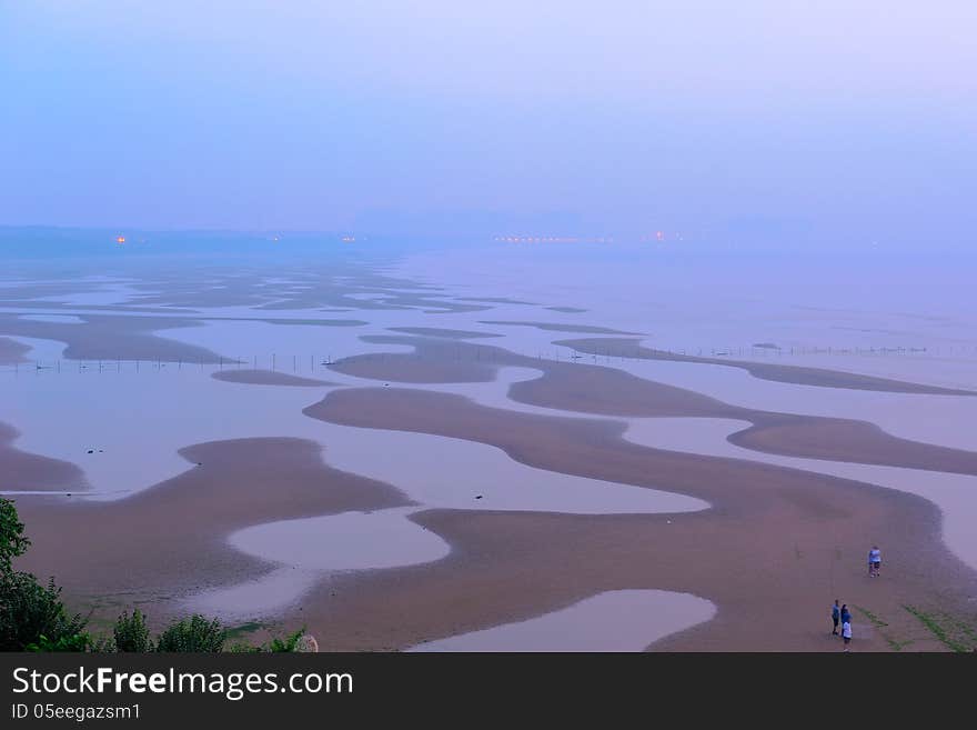 The Sandy Beach In The Morning Mist