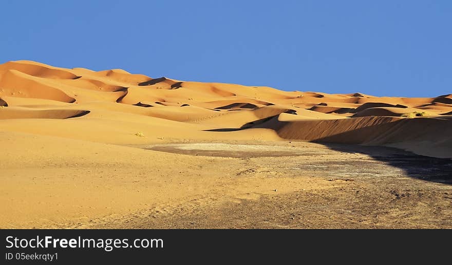 Beautiful sand dunes and blue sky