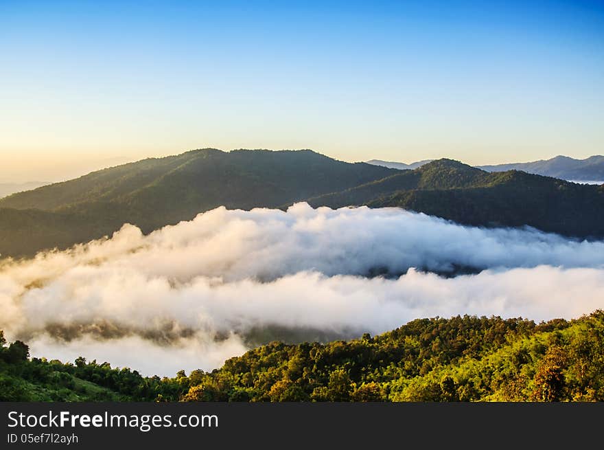 Beautiful Misty Morning