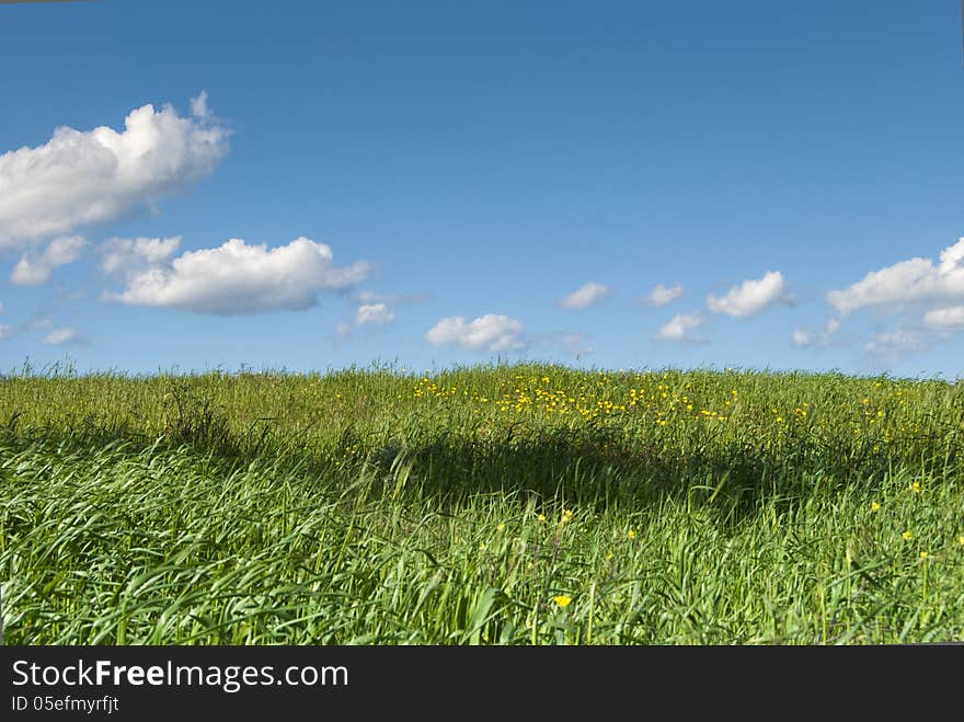 blue sky white clouds and grass