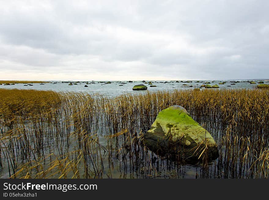 Coast of the Baltic Sea, Lahemaa National Park. Coast of the Baltic Sea, Lahemaa National Park.