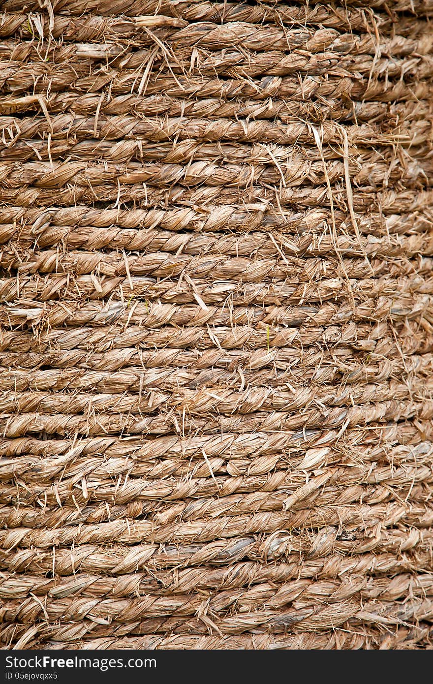 Wind straw rope around a trunk. Wind straw rope around a trunk