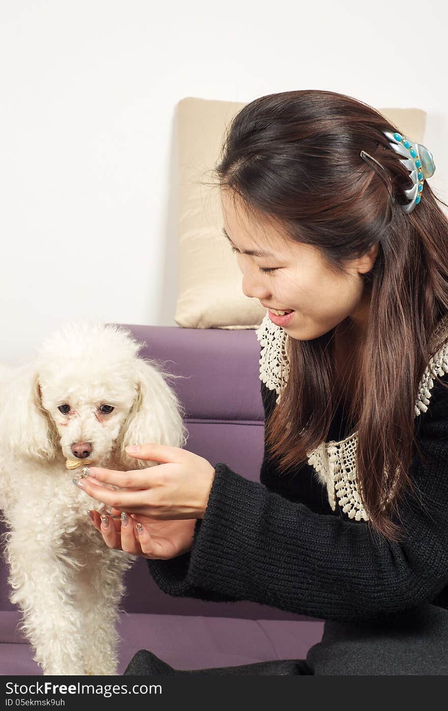 The girl feeding a Poodle. The girl feeding a Poodle.