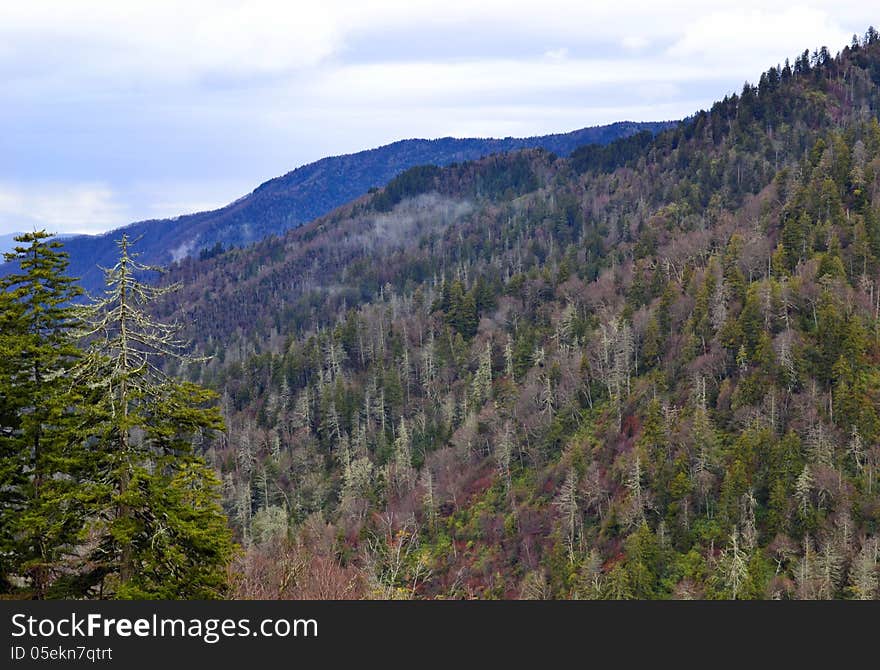 Automn in Smoky Mountains National Park, Blue Ridge Parkway