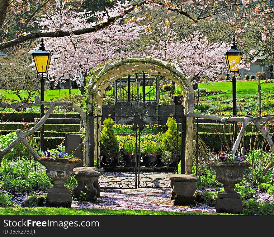 Iron Gate Under The Cherry Blossom