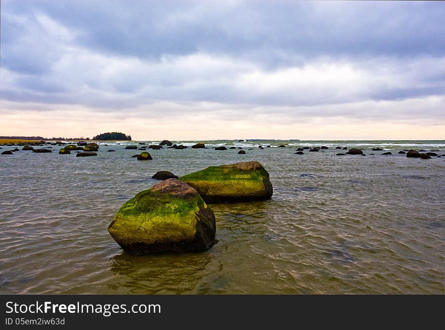 Coast of the Baltic Sea. Coast of the Baltic Sea.