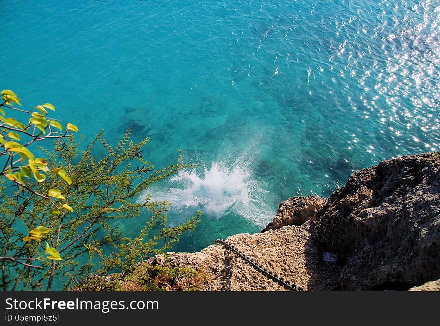 Jumping into the blue sea