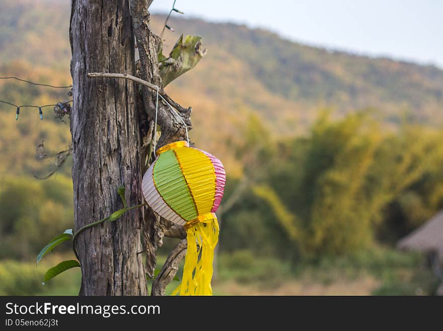 Landscape view of tea garden scenery