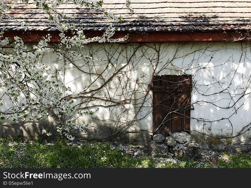 Detail of an abandoned house