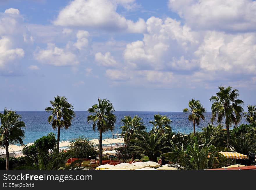 Beach of Turkey with palm trees and umbrellas