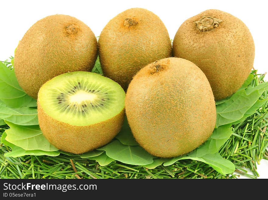 Kiwi