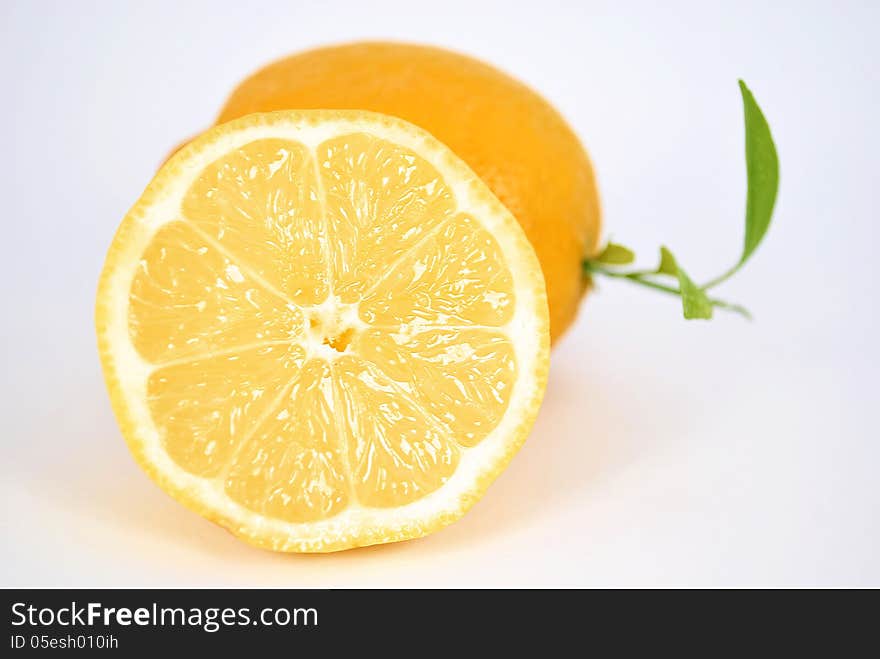 Lemons on a white background