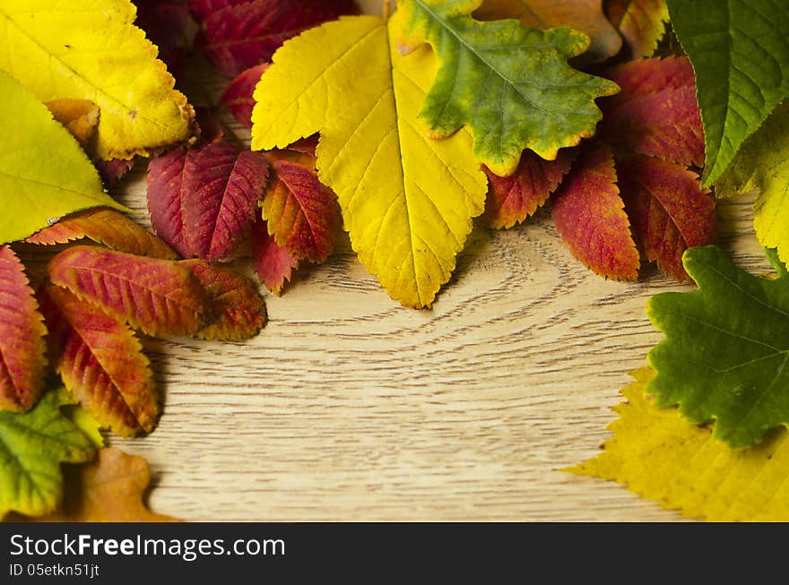 Autumn leaves over wooden background