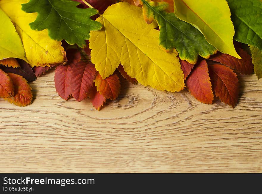 Autumn leaves over wooden background