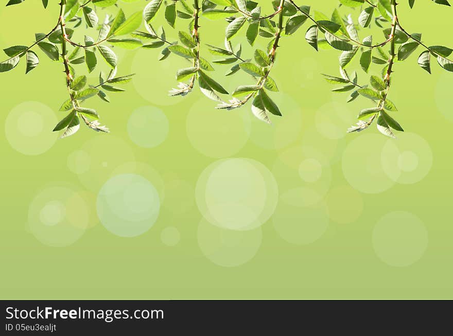 Abstract spring green background with bokeh lights. Abstract spring green background with bokeh lights